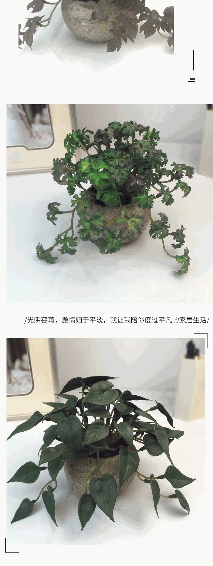Anthurium leaf simulation micro-landscape, turtle-back leaf potted plant, bay leaf bonsai, photography props and decorations are available on Amazon detail image 7
