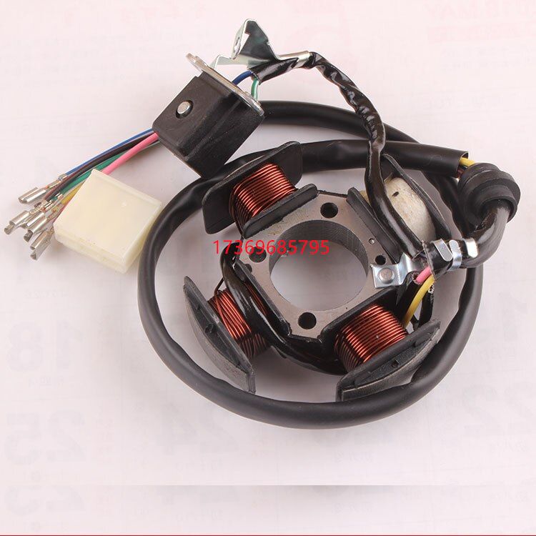 Motorcycle engine parts 8-pole coil, ignition coil, generator coil CG125 details Picture
