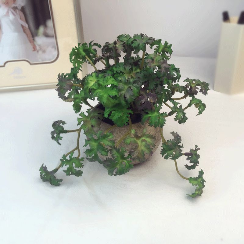 Anthurium leaf simulation micro-landscape, turtle-back leaf potted plant, bay leaf bonsai, photography props and decorations are available on Amazon details Picture