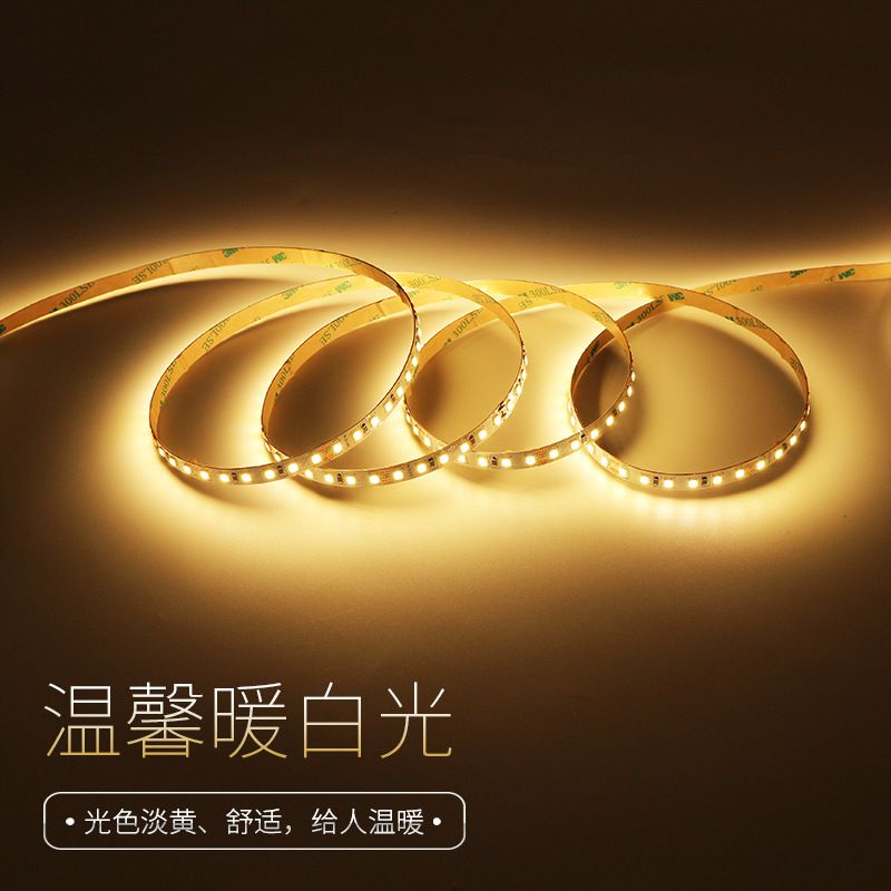 12V24V低压灯带安全灯带工程灯带高光效灯带白底实物图