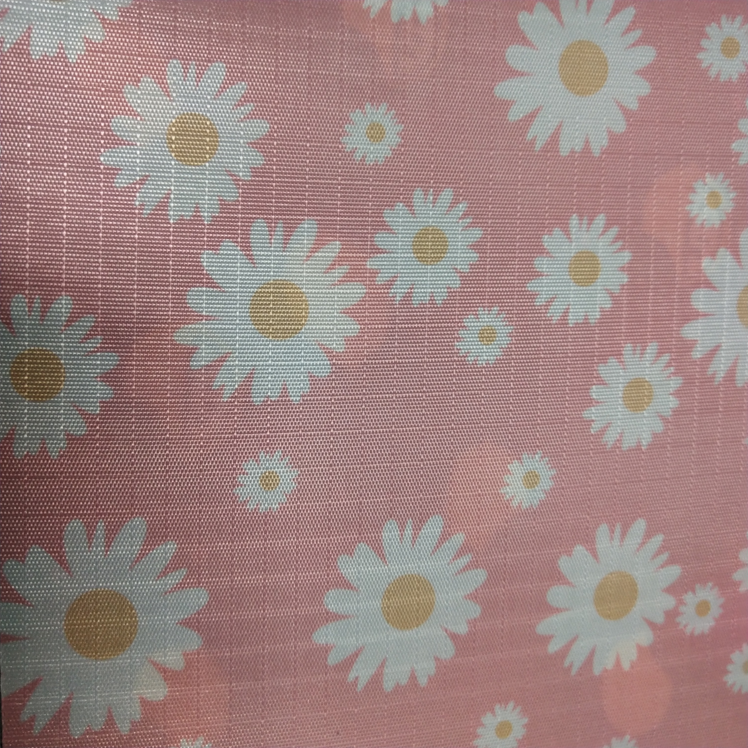 粉色菊花 PA