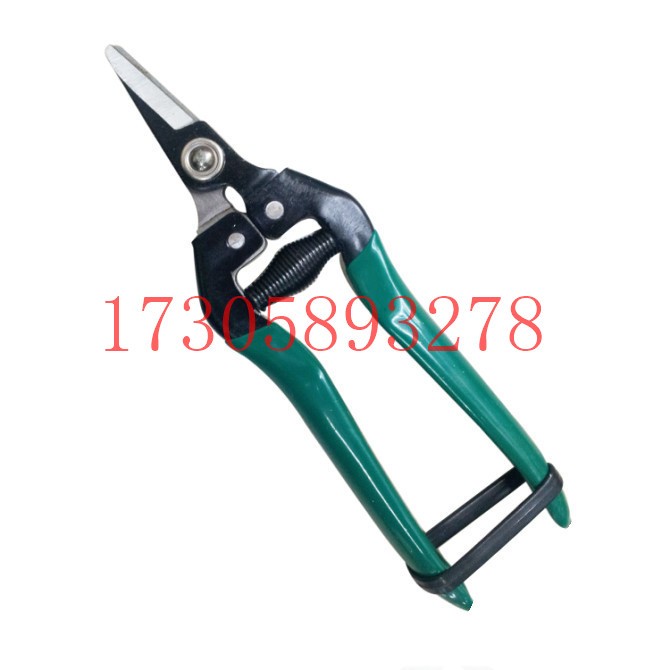 البستانية/البستنة/مقصات الأدوات المعدنية/مقصات الزهور YYJ-35. detail image 18