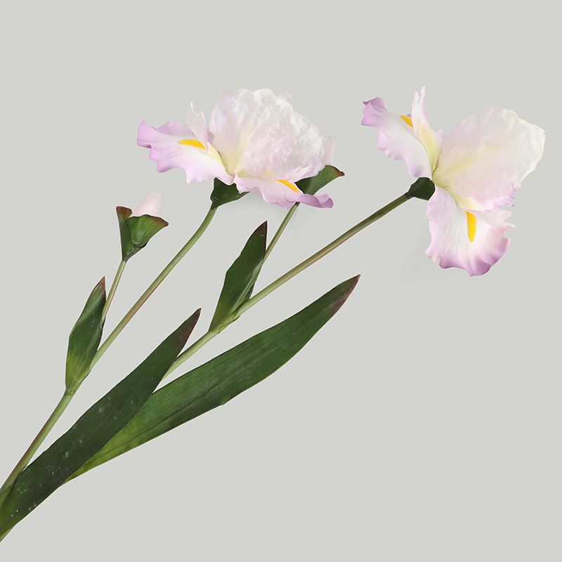 The living room's home soft furnishings are simulated with a color scheme of artificial iris flowers, and the window display props are arranged in a realistic Alice style details Picture