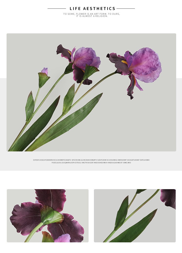 The living room's home soft furnishings are simulated with a color scheme of artificial iris flowers, and the window display props are arranged in a realistic Alice style detail image 5