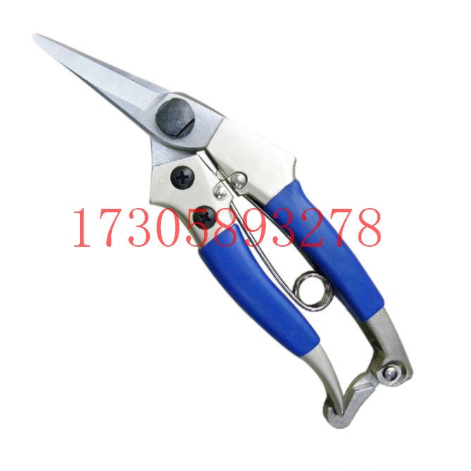 البستانية/البستنة/مقصات الأدوات المعدنية/مقصات الزهور YYJ-35. Specification image