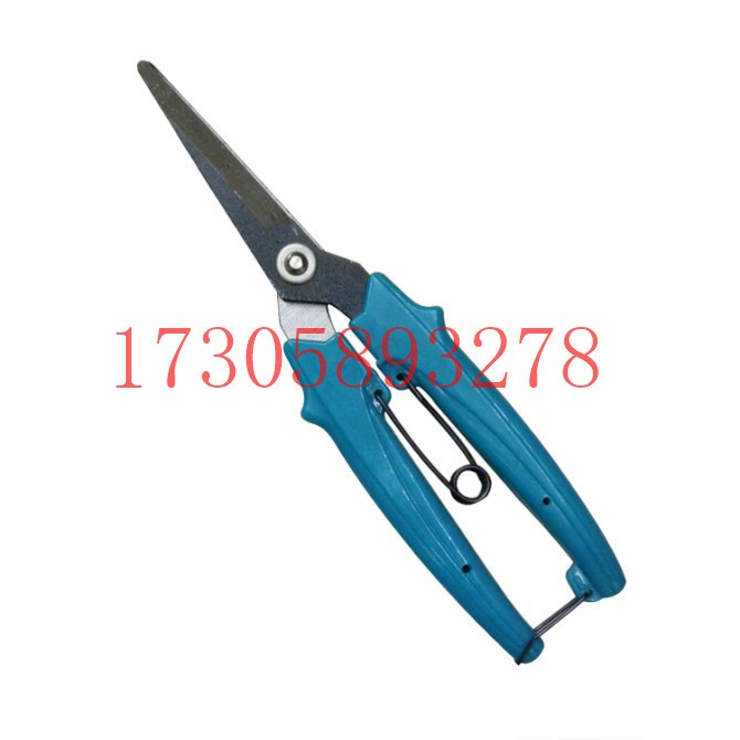 البستانية/البستنة/مقصات الأدوات المعدنية/المقصات من طراز YJ-32. detail image 20