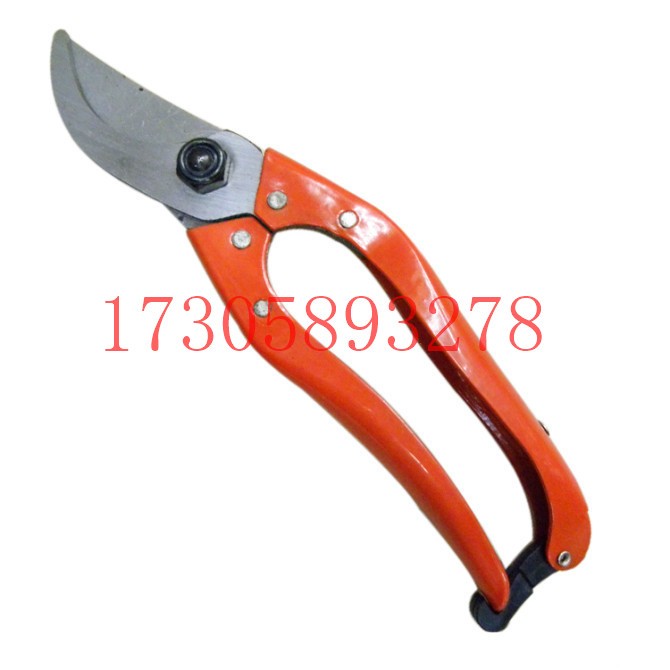 البستانية/البستنة/مقصات الأدوات المعدنية/المقصات من طراز YJ-32. detail image 4
