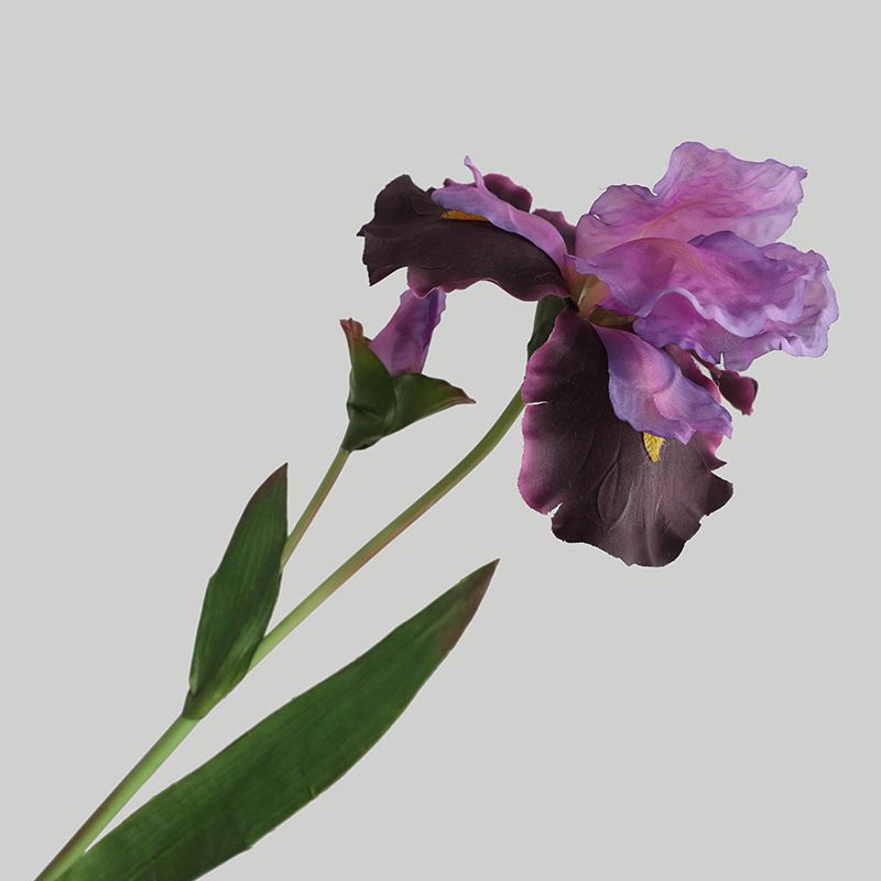 The living room's home soft furnishings are simulated with a color scheme of artificial iris flowers, and the window display props are arranged in a realistic Alice style Item Picture