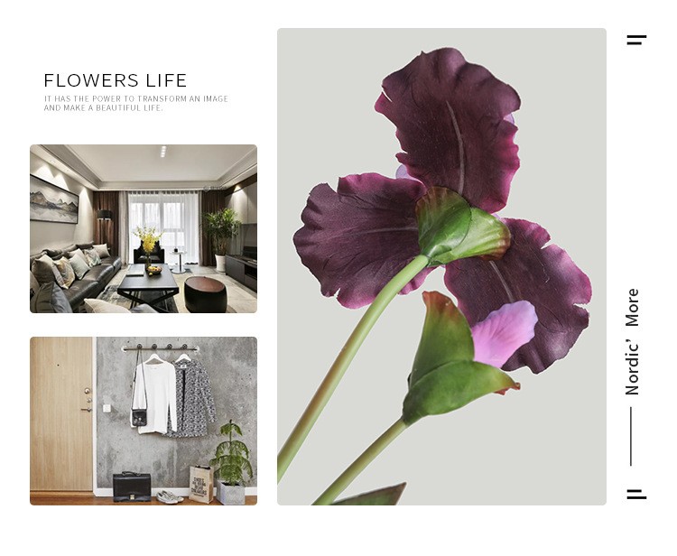 The living room's home soft furnishings are simulated with a color scheme of artificial iris flowers, and the window display props are arranged in a realistic Alice style detail image 1