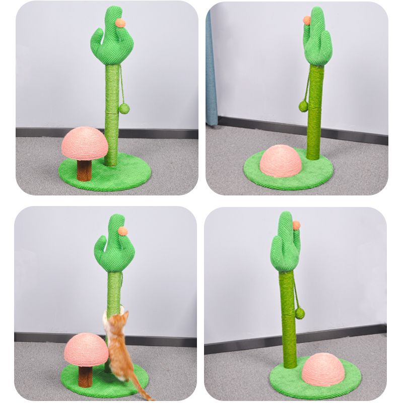 猫猫玩具实物图