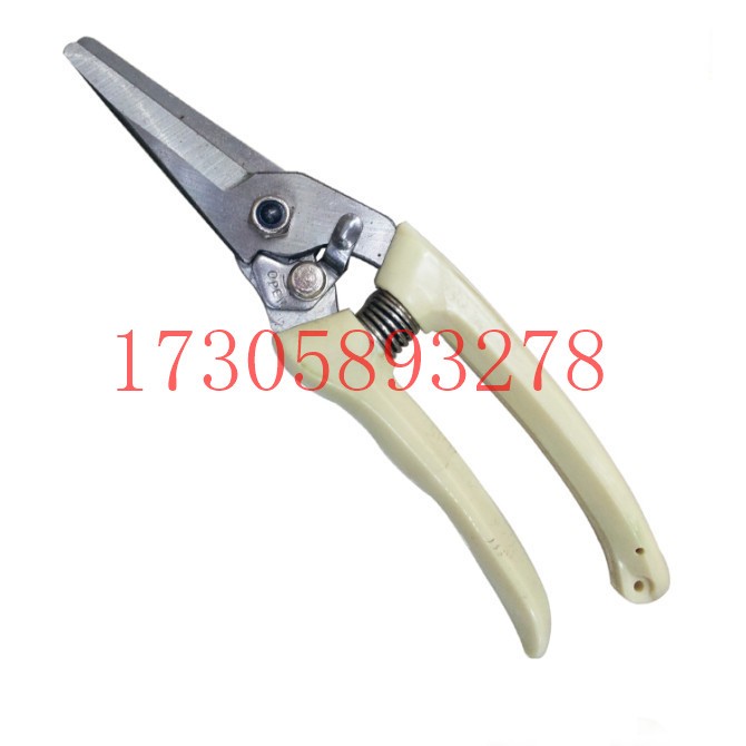 البستانية/البستنة/مقصات الأدوات المعدنية/مقصات الزهور/مقصات الطيران YYJ-21. detail image 12