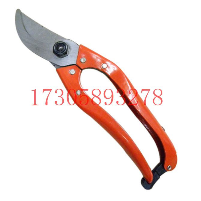 البستانية/البستنة/مقصات الأدوات المعدنية/مقصات الزهور/مقصات الطيران YYJ-21. Specification image