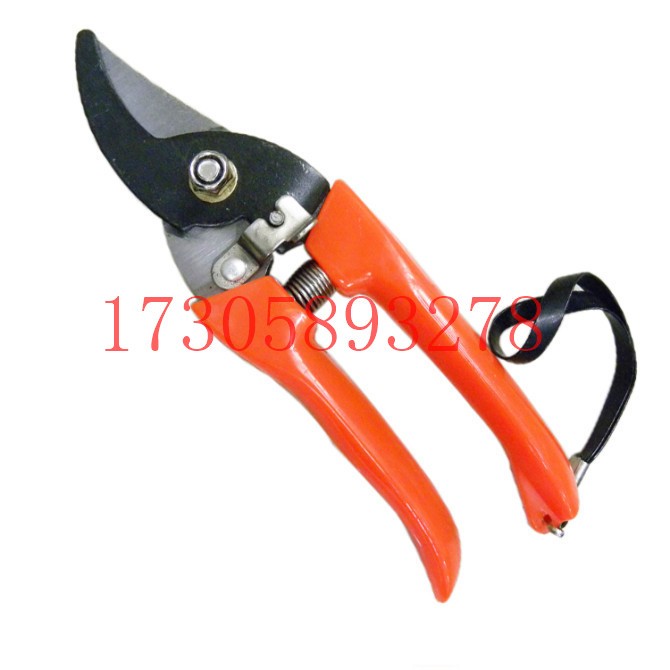 البستانية/البستنة/مقصات الأدوات المعدنية/المقصات من طراز YJ-32. detail image 12