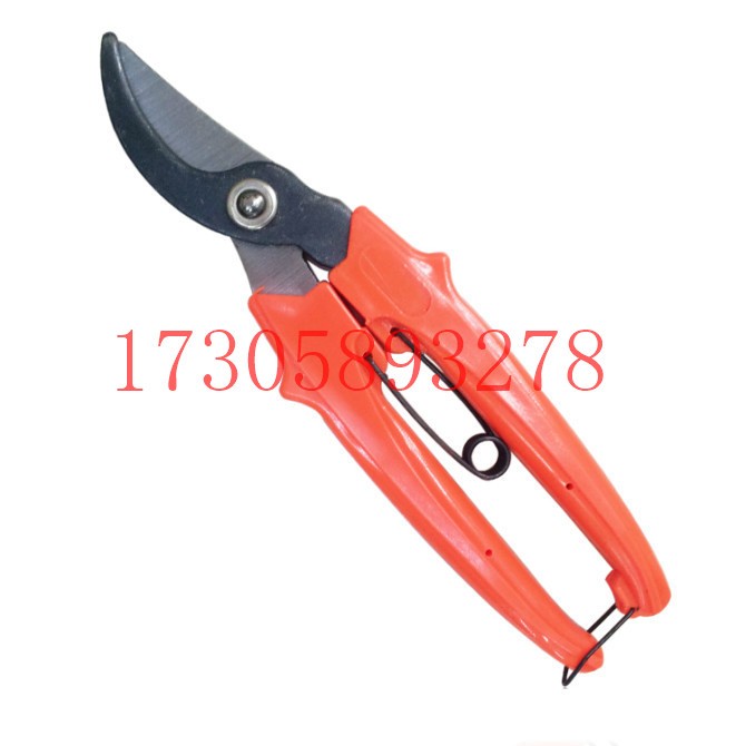 البستانية/البستنة/مقصات الأدوات المعدنية/المقصات من طراز YJ-32. detail image 9