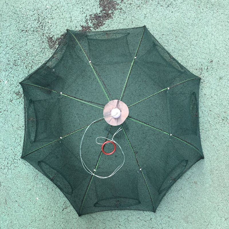 渔具鱼竿/渔网渔轮/鱼钩折叠/伞形6孔/8孔10孔/12孔产品图