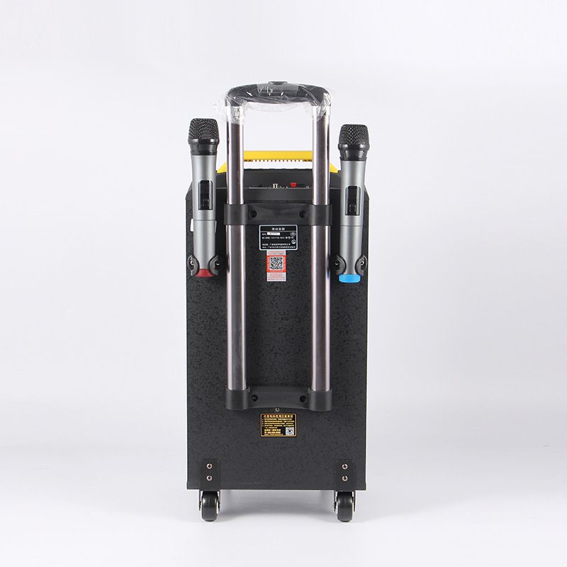 Langting Card Insertion Portable Mobile Pull Rod Battery Speaker 13