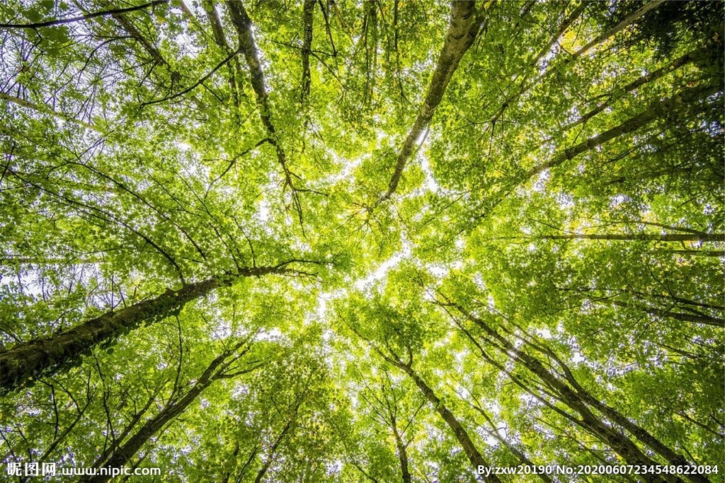 200g 高光防水相纸  A3 A4 A6 喷墨打印纸详情1