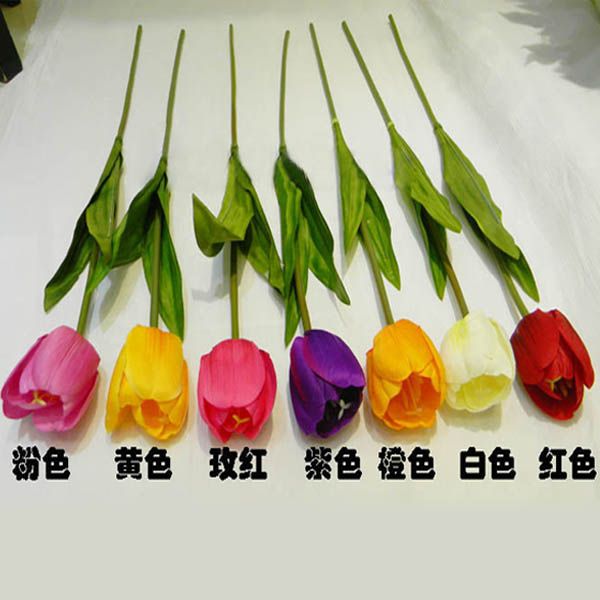 插花郁金香  荷兰郁金香