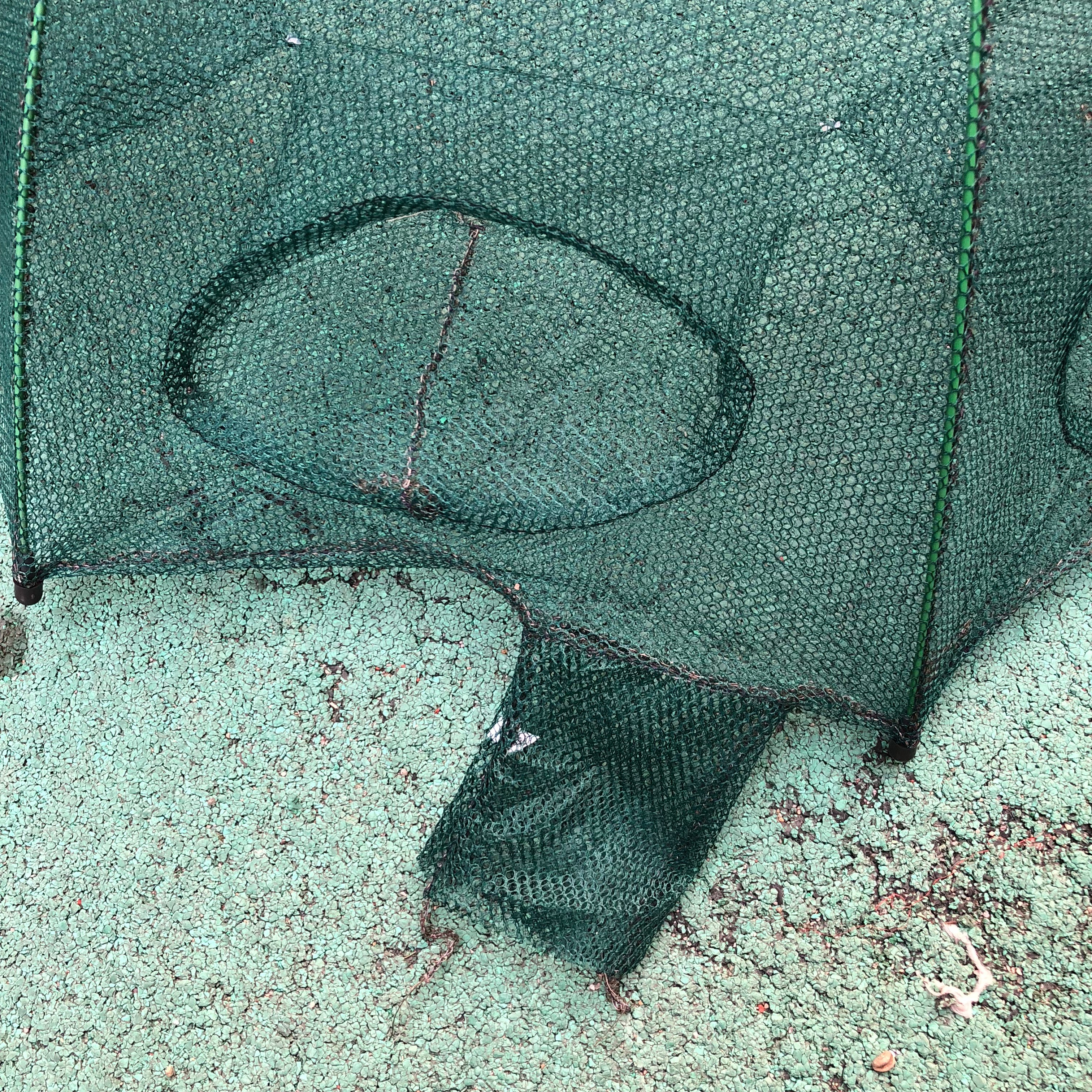 渔具鱼竿渔网渔轮鱼钩折叠伞形6孔8孔10孔12孔详情6