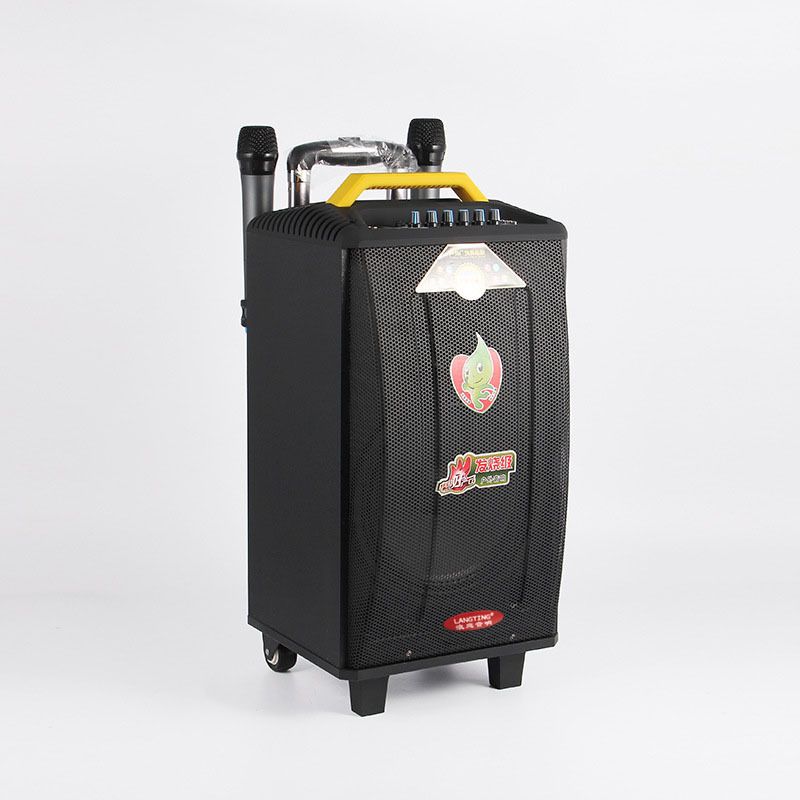 Langting Card Insertion Portable Mobile Pull Rod Battery Speaker 13 Specification image