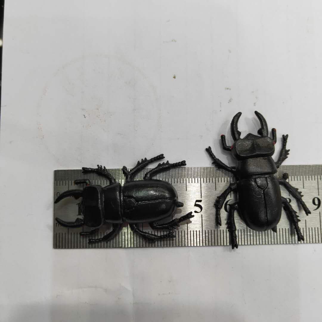 仿真5款甲虫模型塑胶PVC昆虫 儿童认知玩具畅销产品配件详情图6