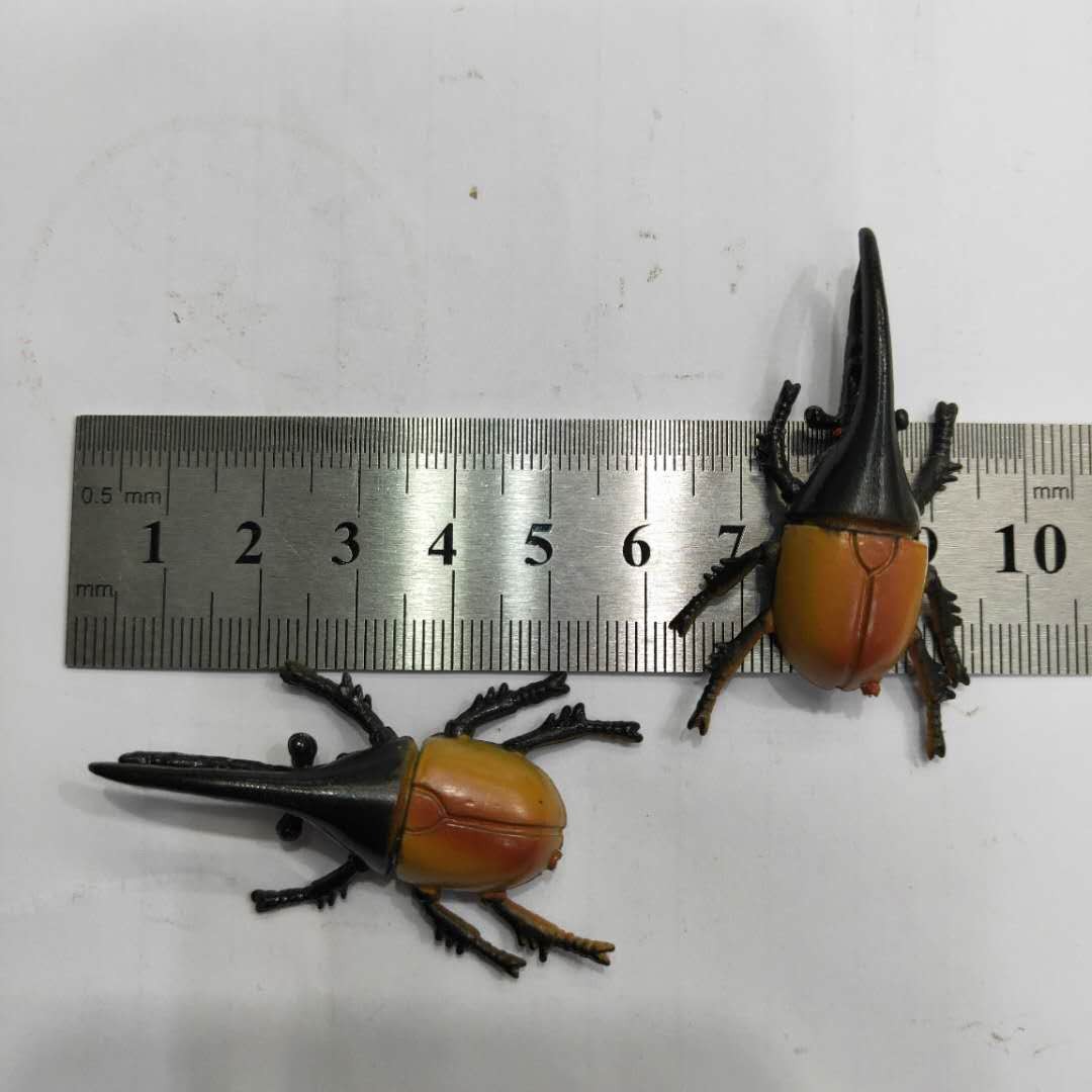仿真5款甲虫模型塑胶PVC昆虫 儿童认知玩具畅销产品配件详情图7