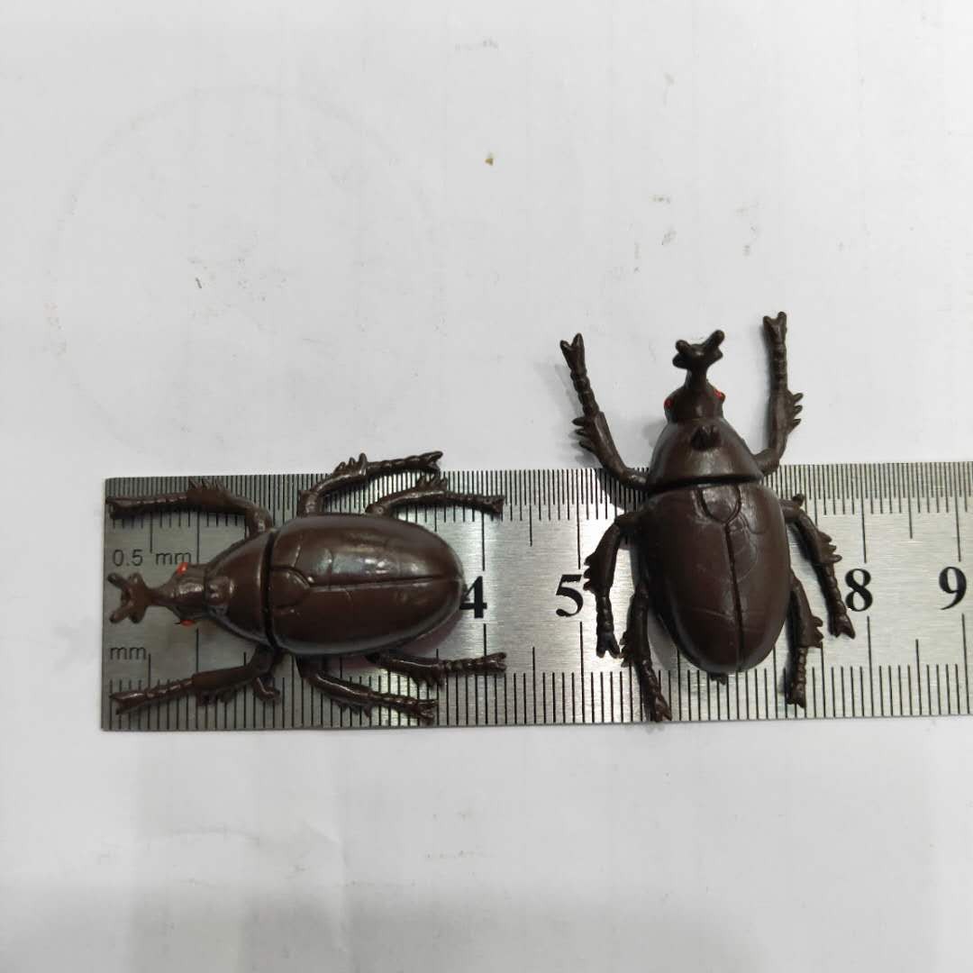 仿真5款甲虫模型塑胶PVC昆虫 儿童认知玩具畅销产品配件详情图5