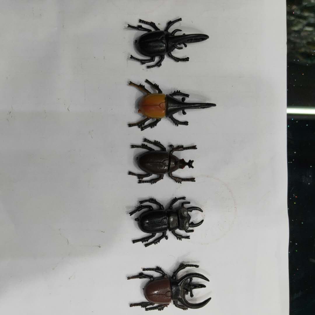 仿真5款甲虫模型塑胶PVC昆虫 儿童认知玩具畅销产品配件详情图3
