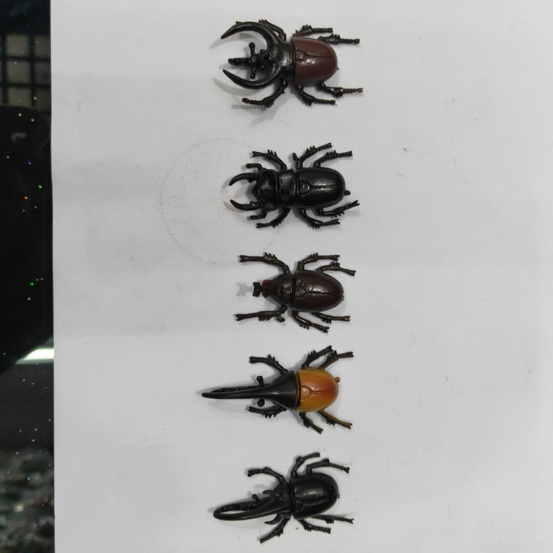 仿真5款甲虫模型塑胶PVC昆虫 儿童认知玩具畅销产品配件详情图2