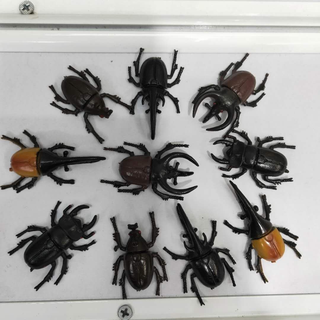 仿真5款甲虫模型塑胶PVC昆虫 儿童认知玩具畅销产品配件详情图1