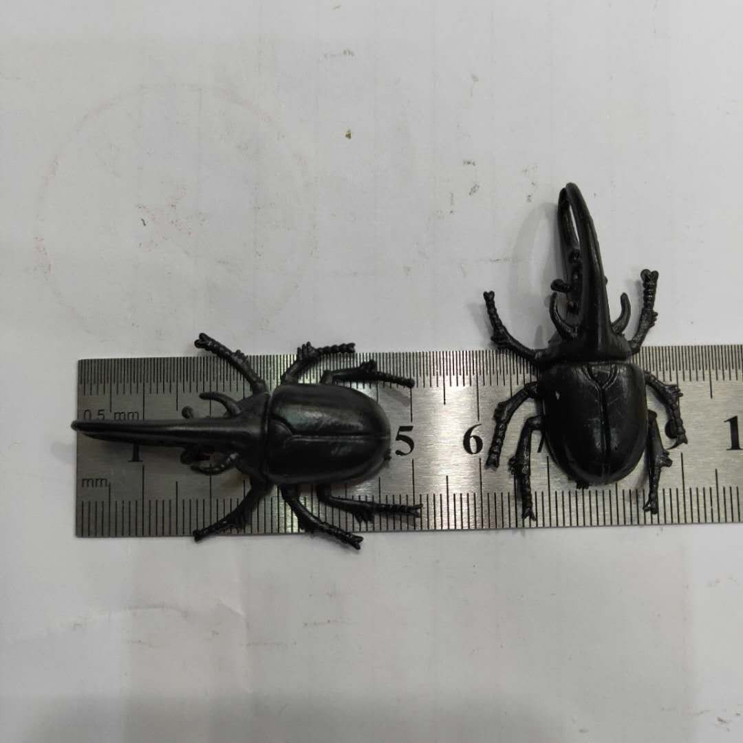 仿真5款甲虫模型塑胶PVC昆虫 儿童认知玩具畅销产品配件详情图4