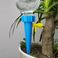 浇花器浇花神器渗水器懒人家用绿植定时浇水器创意园艺养花图