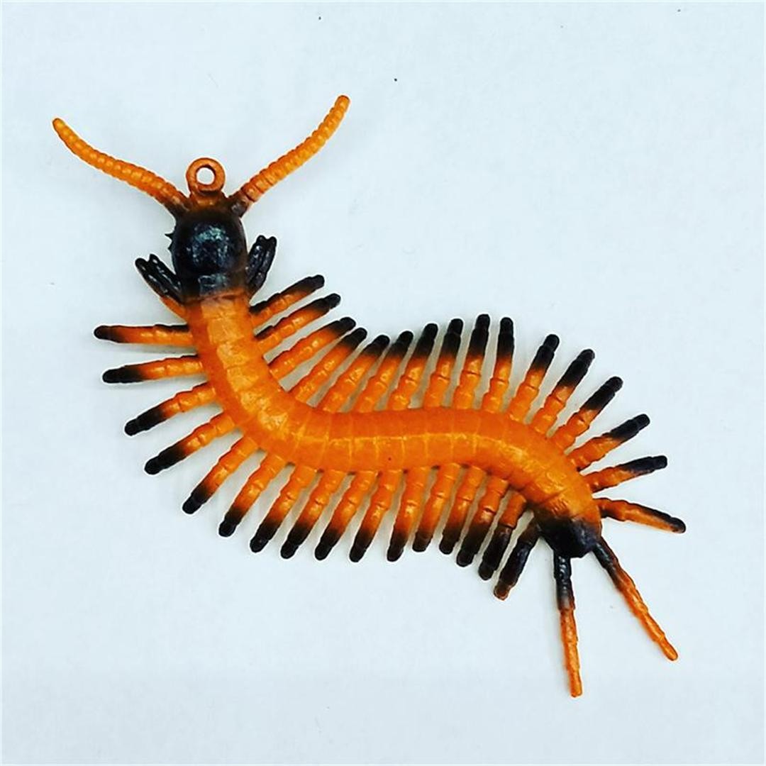 仿真昆虫模型塑胶模型玩具太空沙配件沙盘摆件儿童玩具详情图7