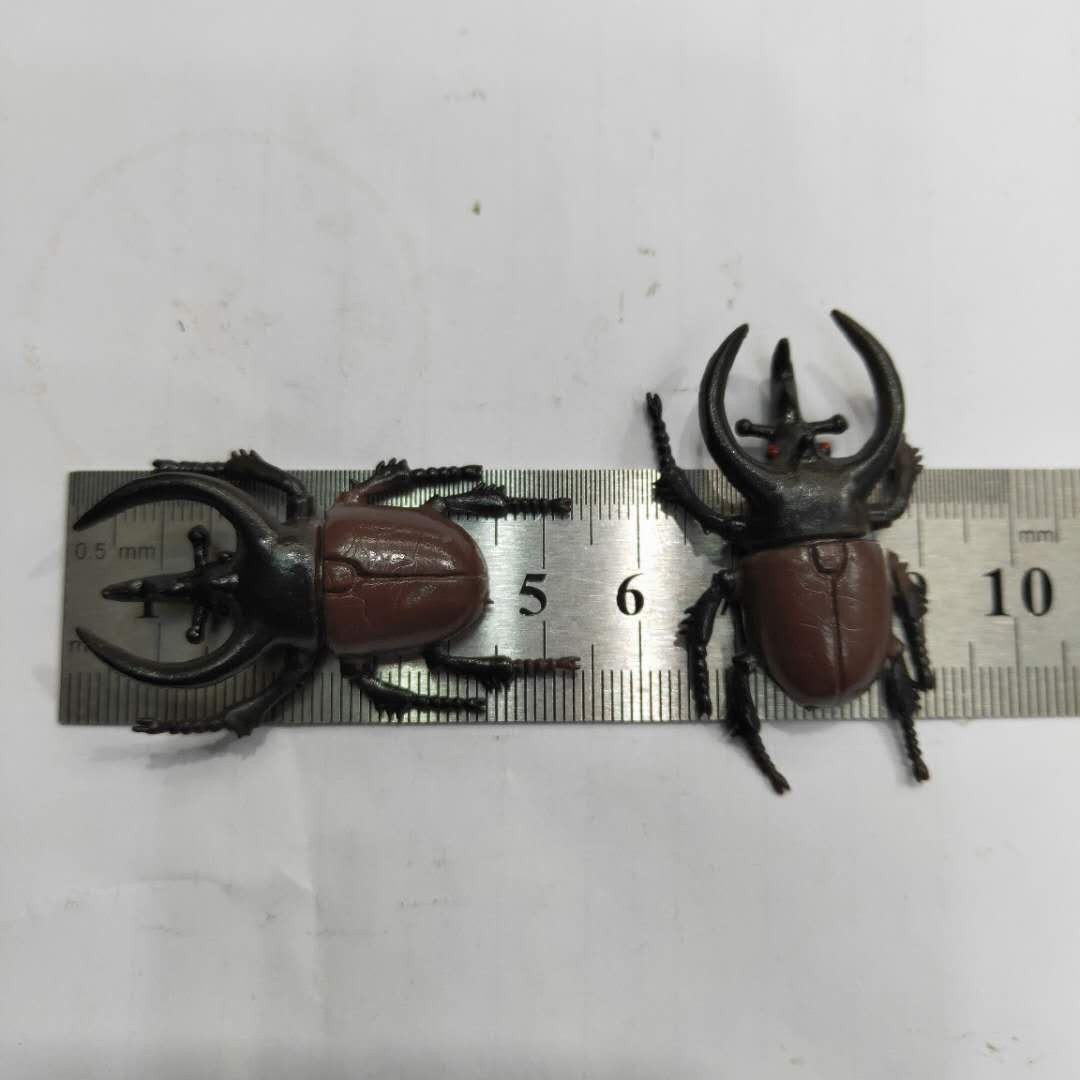 仿真5款甲虫模型塑胶PVC昆虫 儿童认知玩具畅销产品配件详情图8