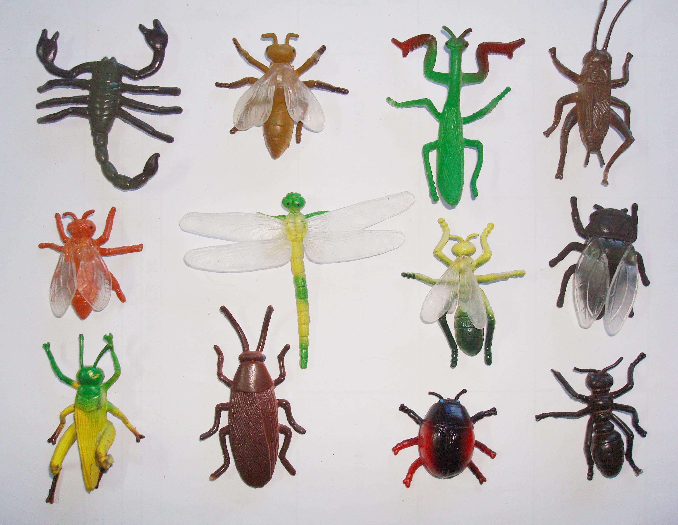 仿真昆虫沙盘摆件科教儿童认知模型产品配件玩具详情2