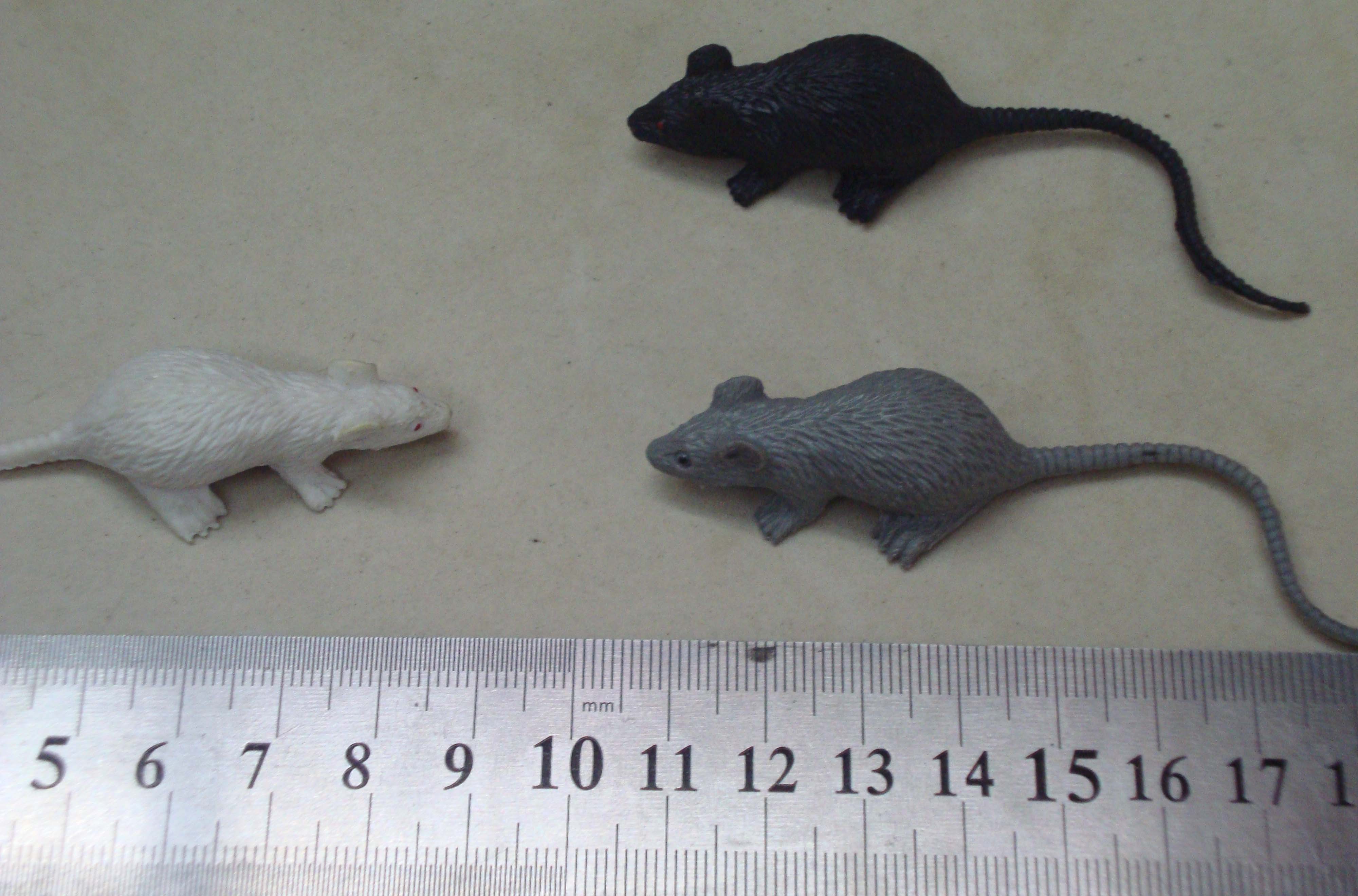 儿童科教认知塑胶模型玩具  沙盘摆件详情3