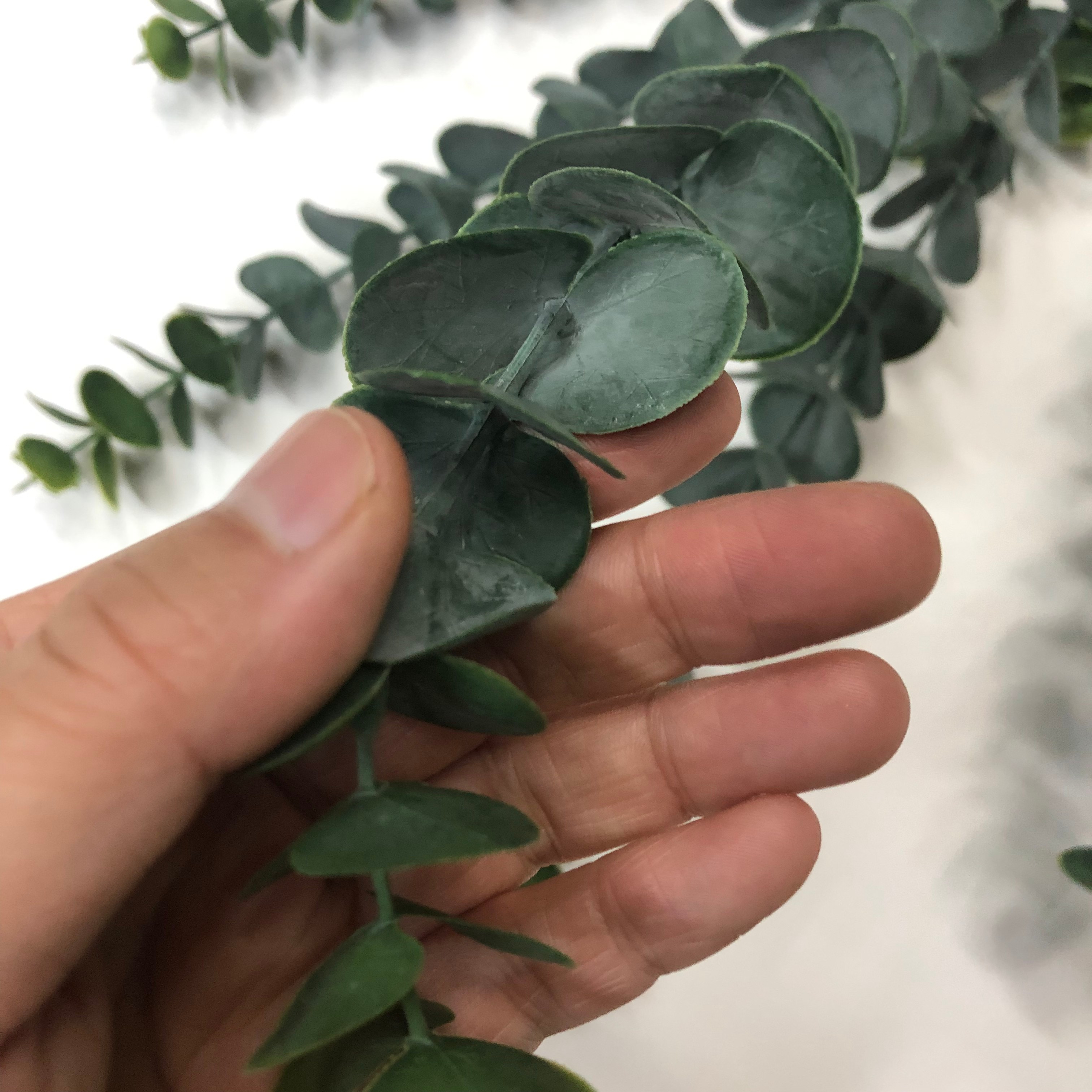 Simulated eucalyptus branches, money plant, eucalyptus wedding, European and American style eucalyptus bonsai, pennywort detail image 7