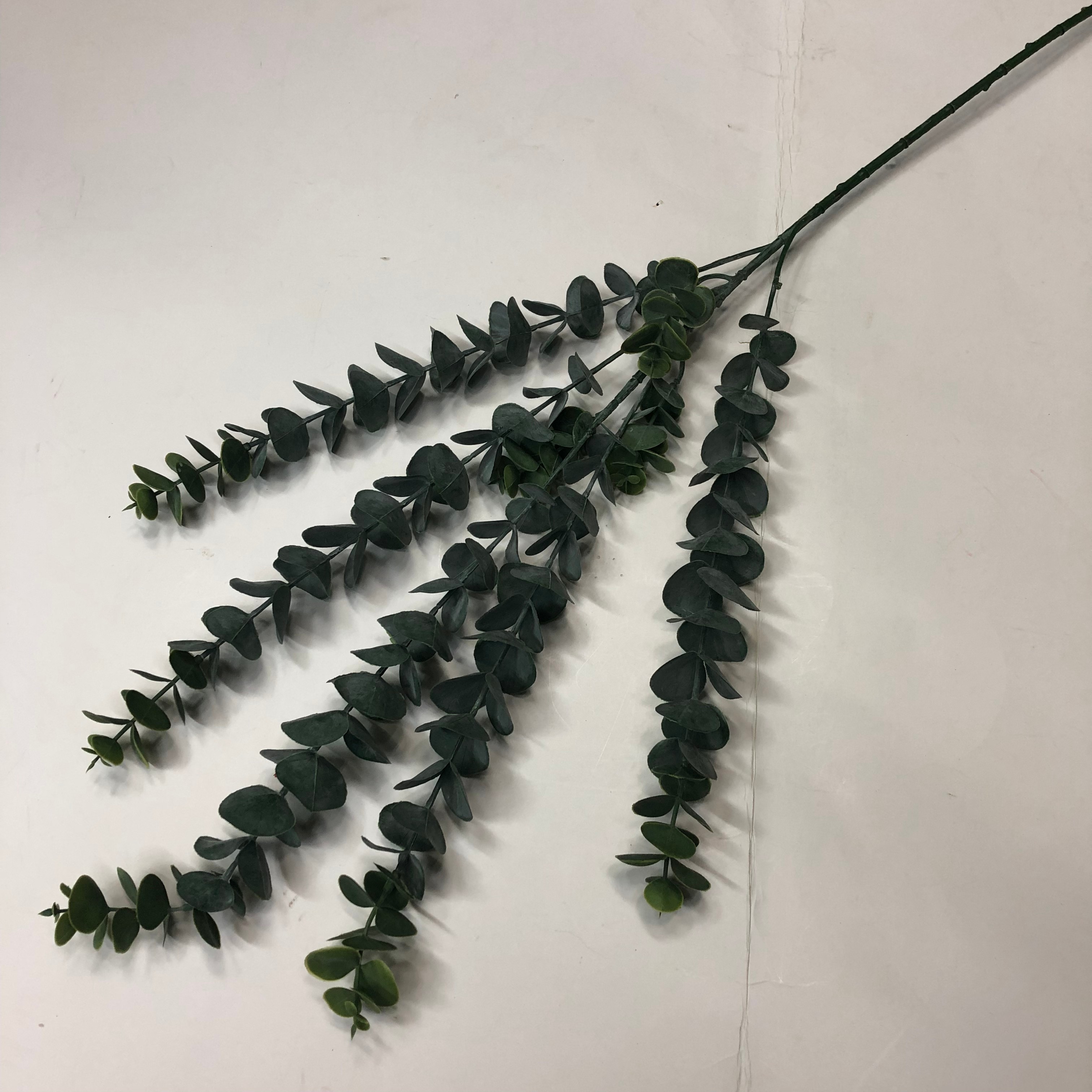 Simulated eucalyptus branches, money plant, eucalyptus wedding, European and American style eucalyptus bonsai, pennywort detail image 6