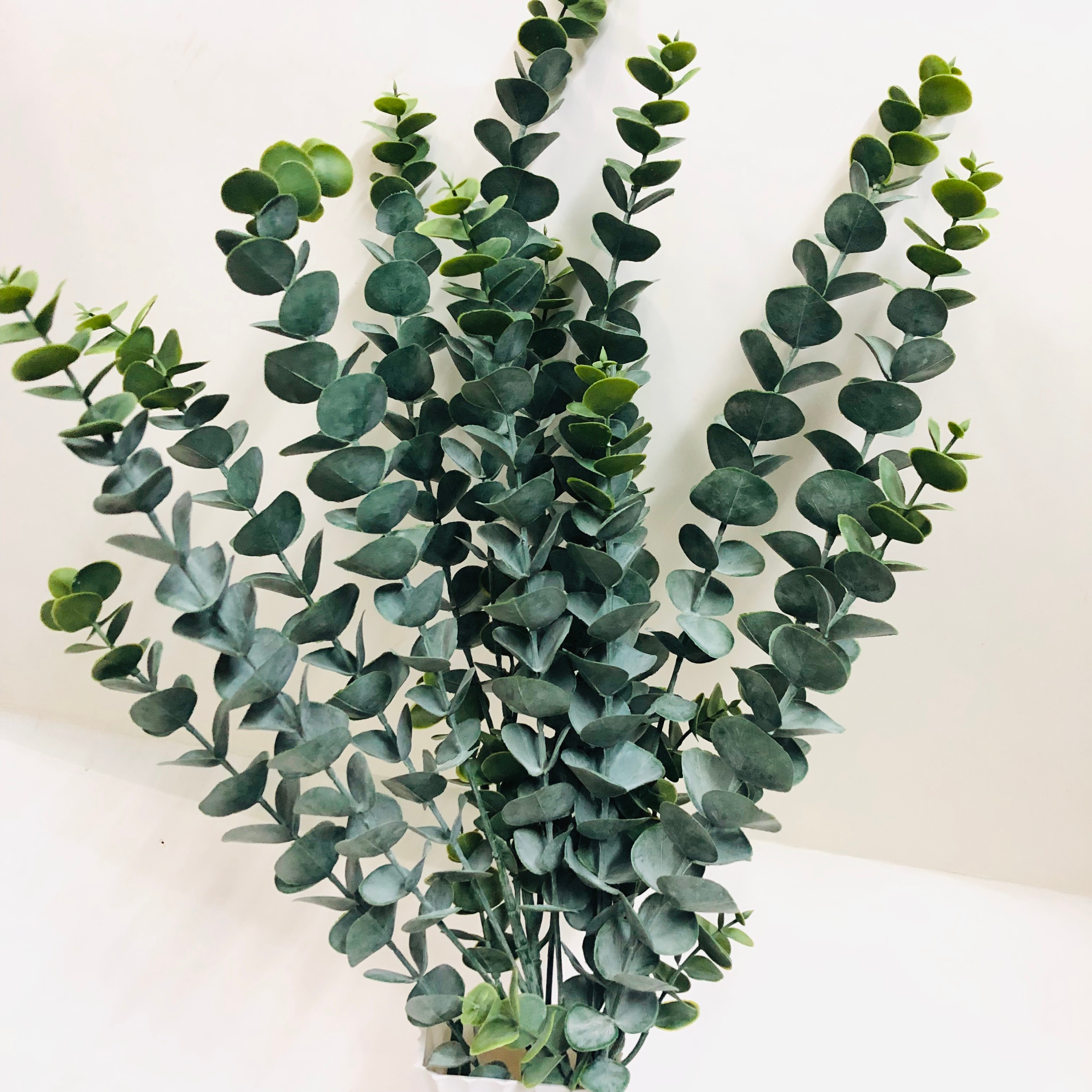 Simulated eucalyptus branches, money plant, eucalyptus wedding, European and American style eucalyptus bonsai, pennywort detail image 5