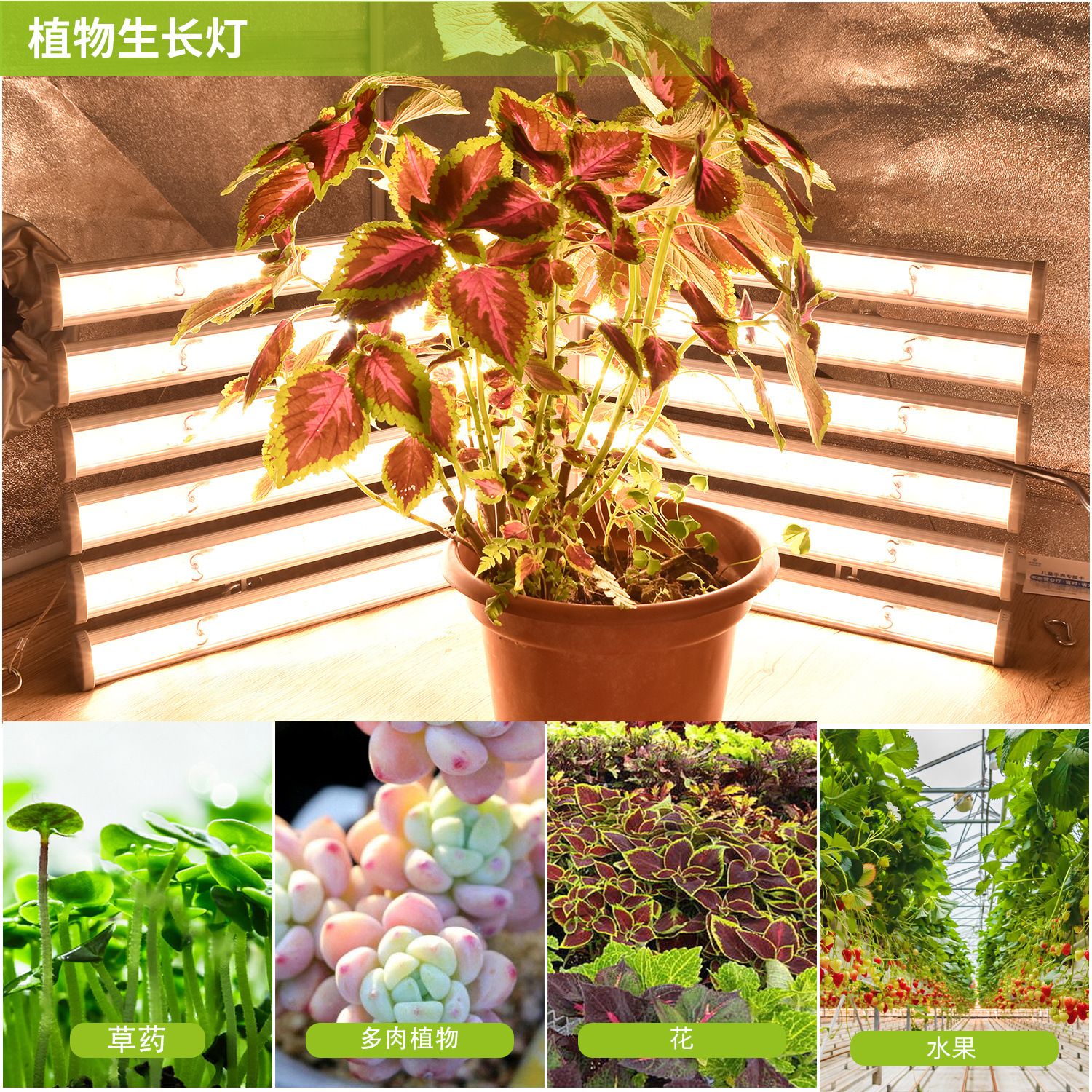 LED植物生长灯大功率植物生长灯折叠式植物生长灯白底实物图