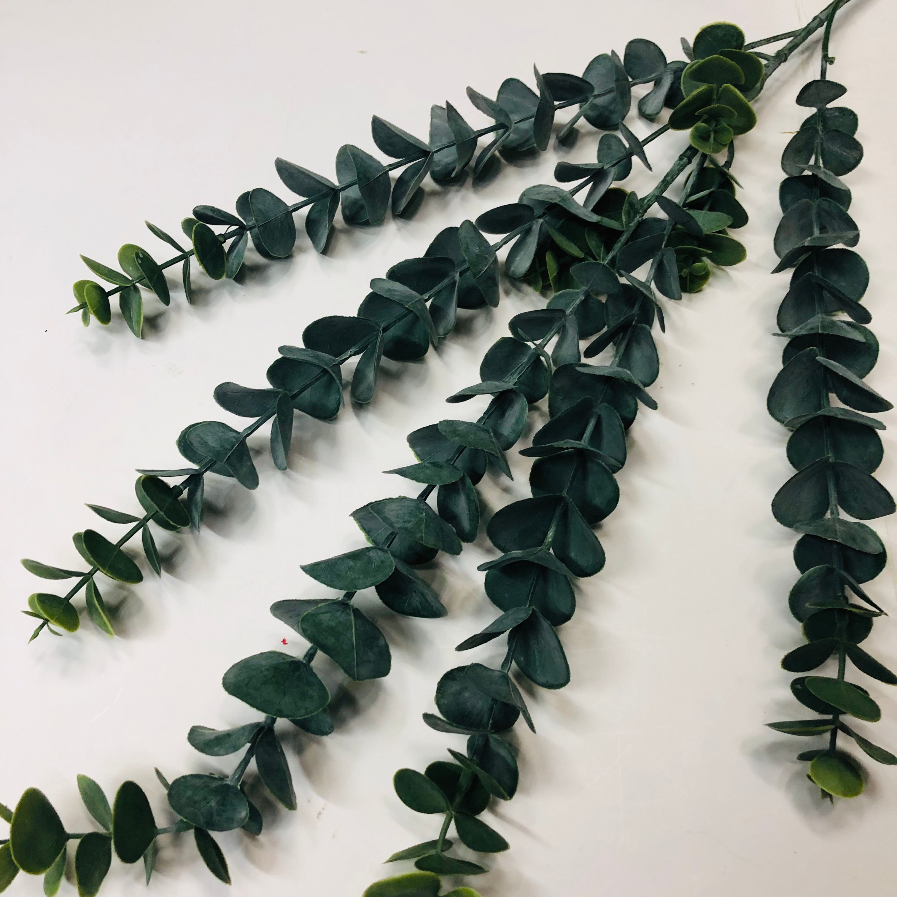 Simulated eucalyptus branches, money plant, eucalyptus wedding, European and American style eucalyptus bonsai, pennywort Specification image