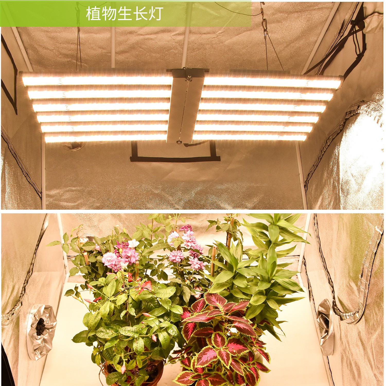LED植物生长灯大功率植物生长灯折叠式植物生长灯详情图4
