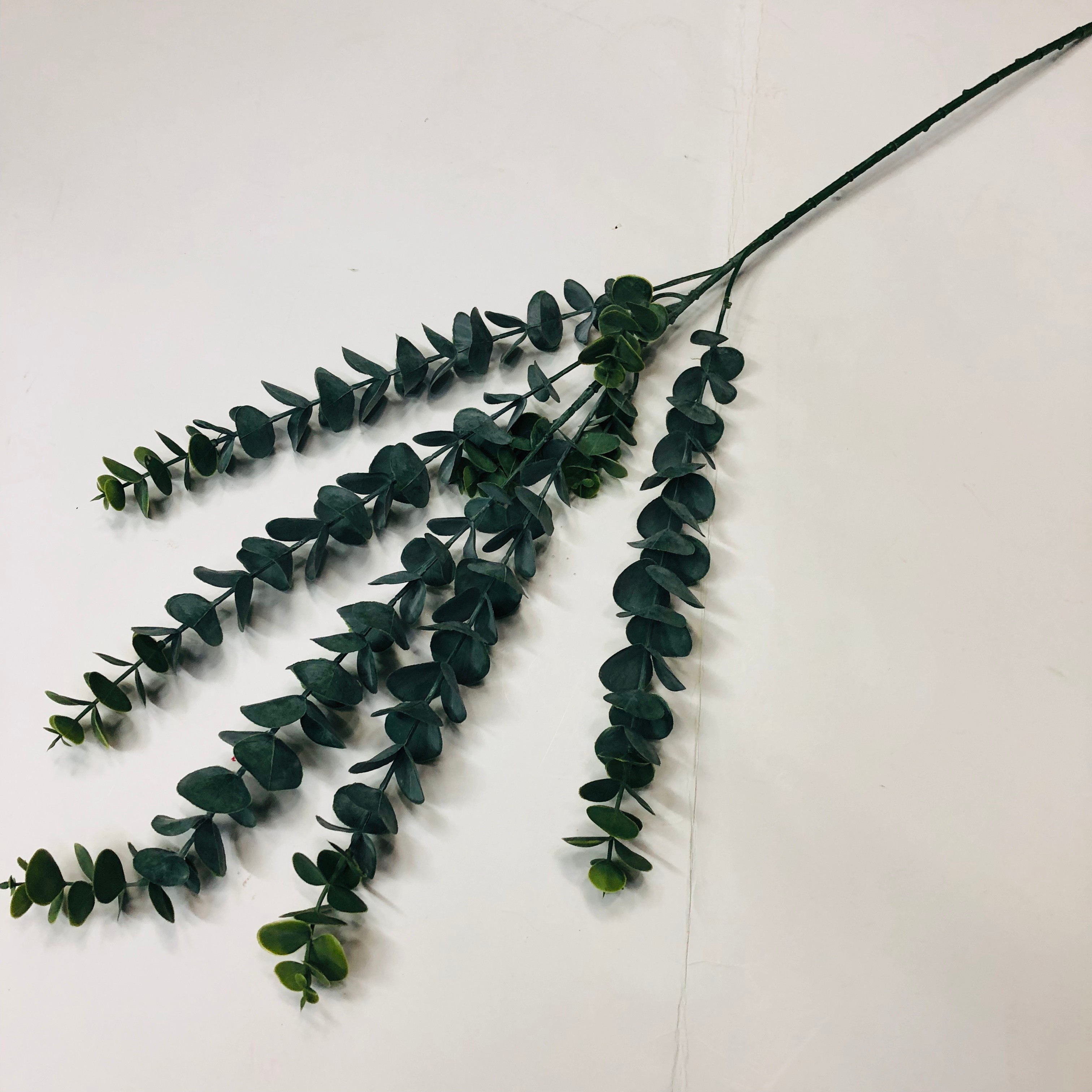 Simulated eucalyptus branches, money plant, eucalyptus wedding, European and American style eucalyptus bonsai, pennywort detail image 3