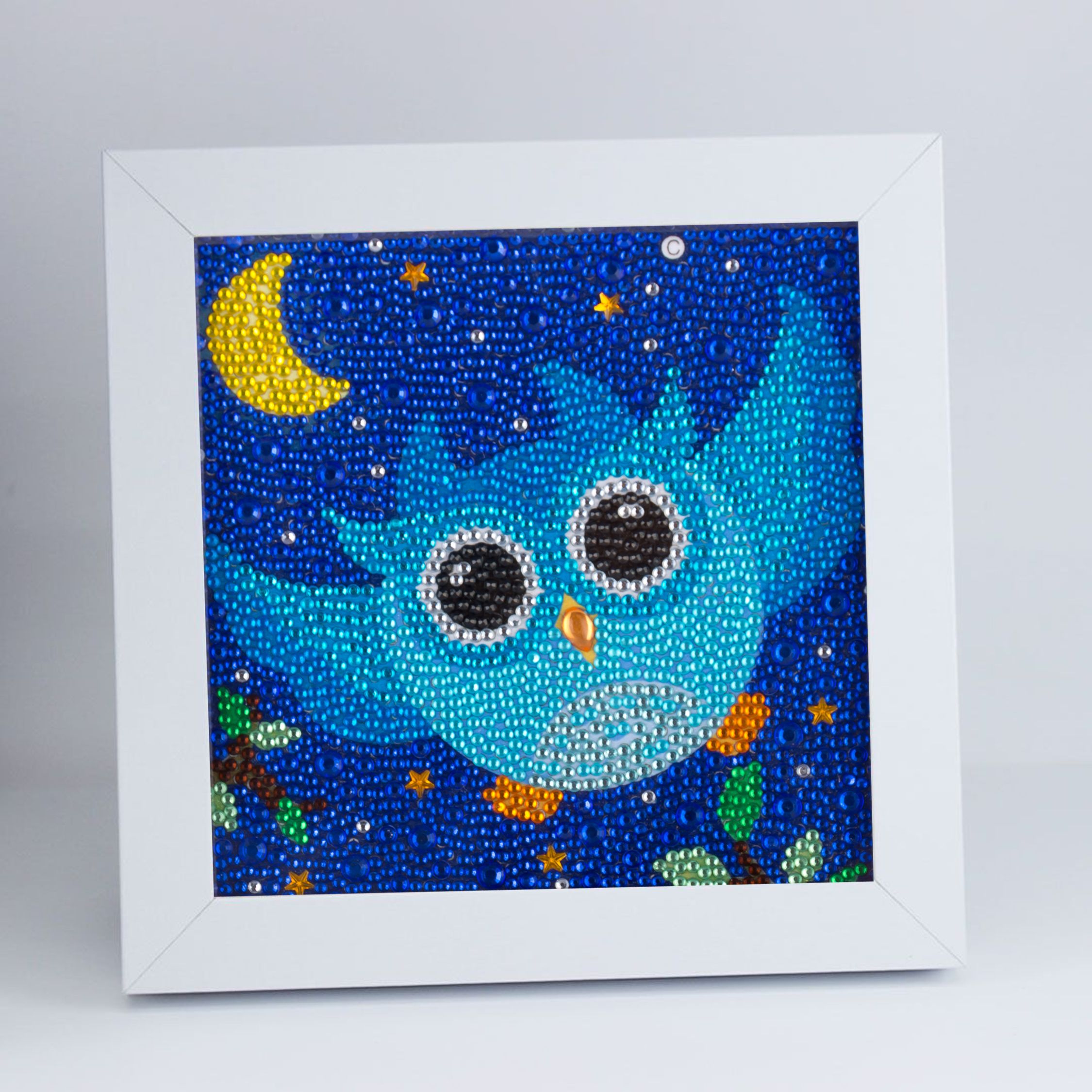 15x15 photo frame diamond painting Application Scenario