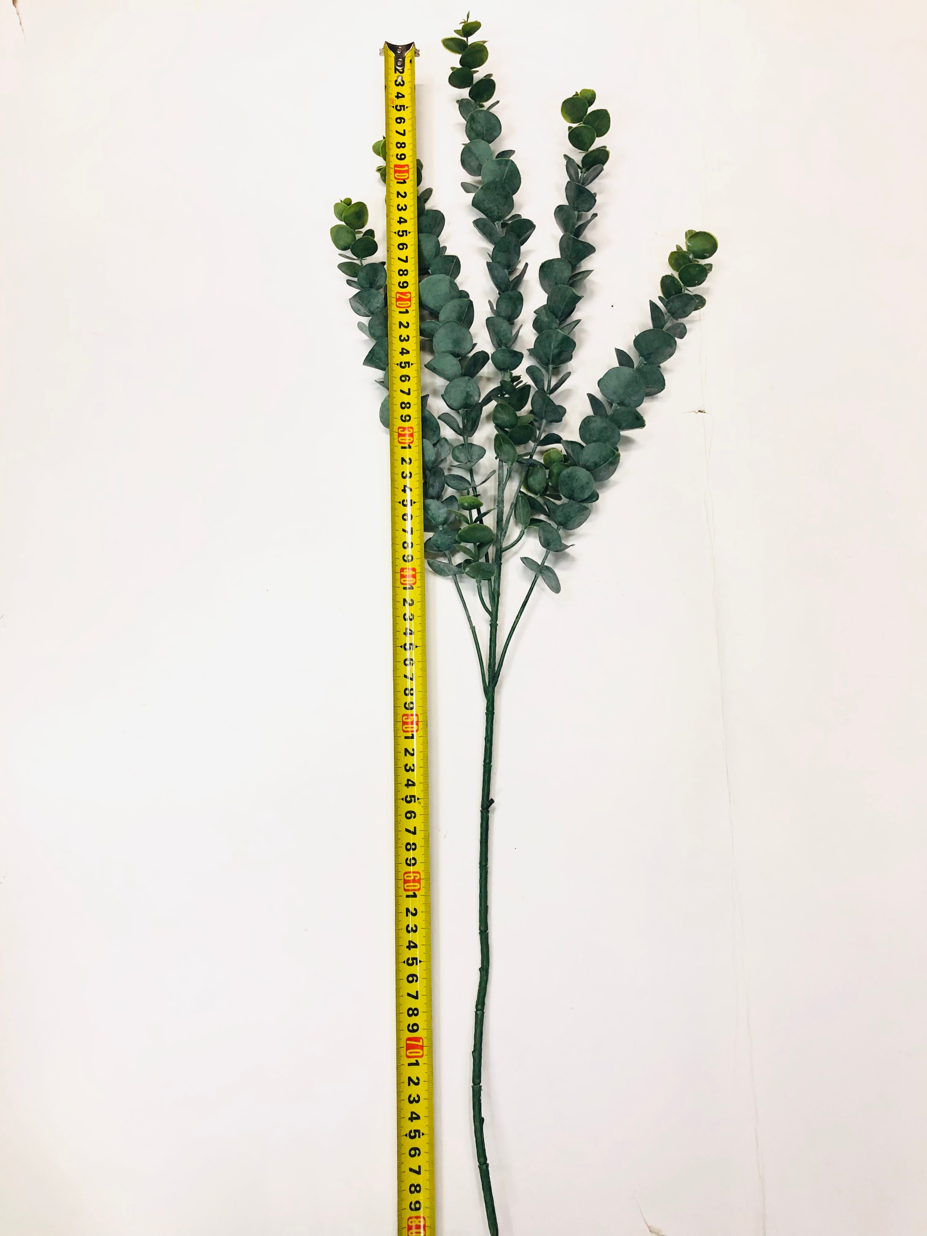 Simulated eucalyptus branches, money plant, eucalyptus wedding, European and American style eucalyptus bonsai, pennywort detail image 2