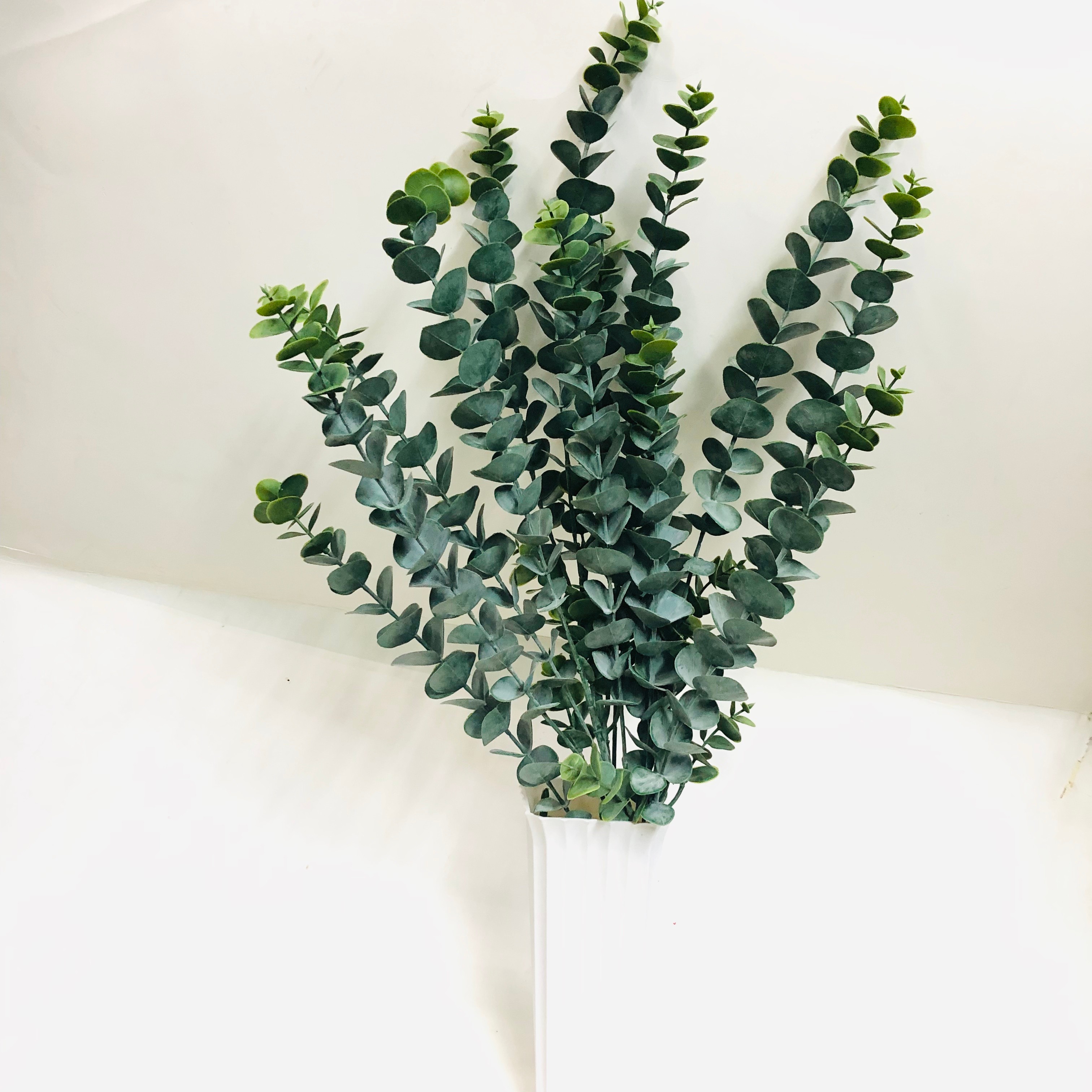 Simulated eucalyptus branches, money plant, eucalyptus wedding, European and American style eucalyptus bonsai, pennywort detail image 4