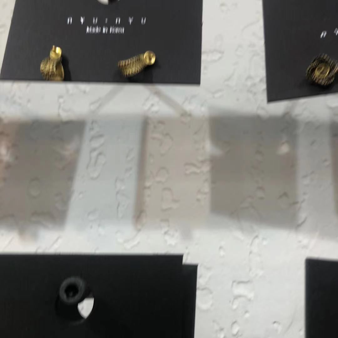  Warren James耳环2021年新款潮长款流苏耳坠女高级感耳饰ins饰品百顺222