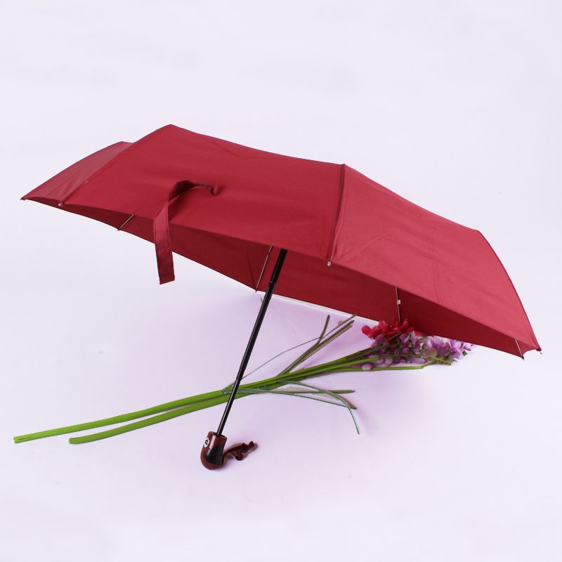 Fully automatic windproof folding umbrella that blossoms when exposed to water details Picture
