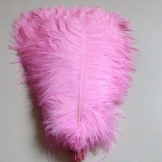  鸵鸟毛网红拍照道具背景墙婚庆路引摆设装饰40-45CM