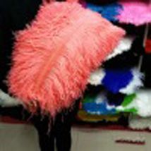 厂家批发鸵鸟毛可订做40-45cm  舞台演出服装装饰羽毛